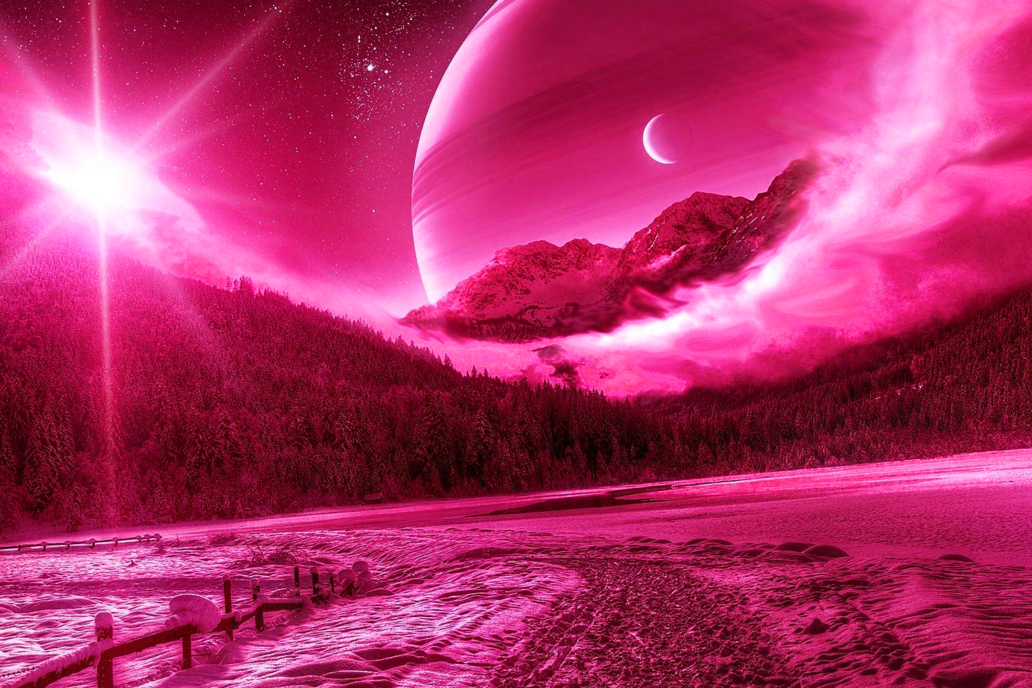 Pet Background
